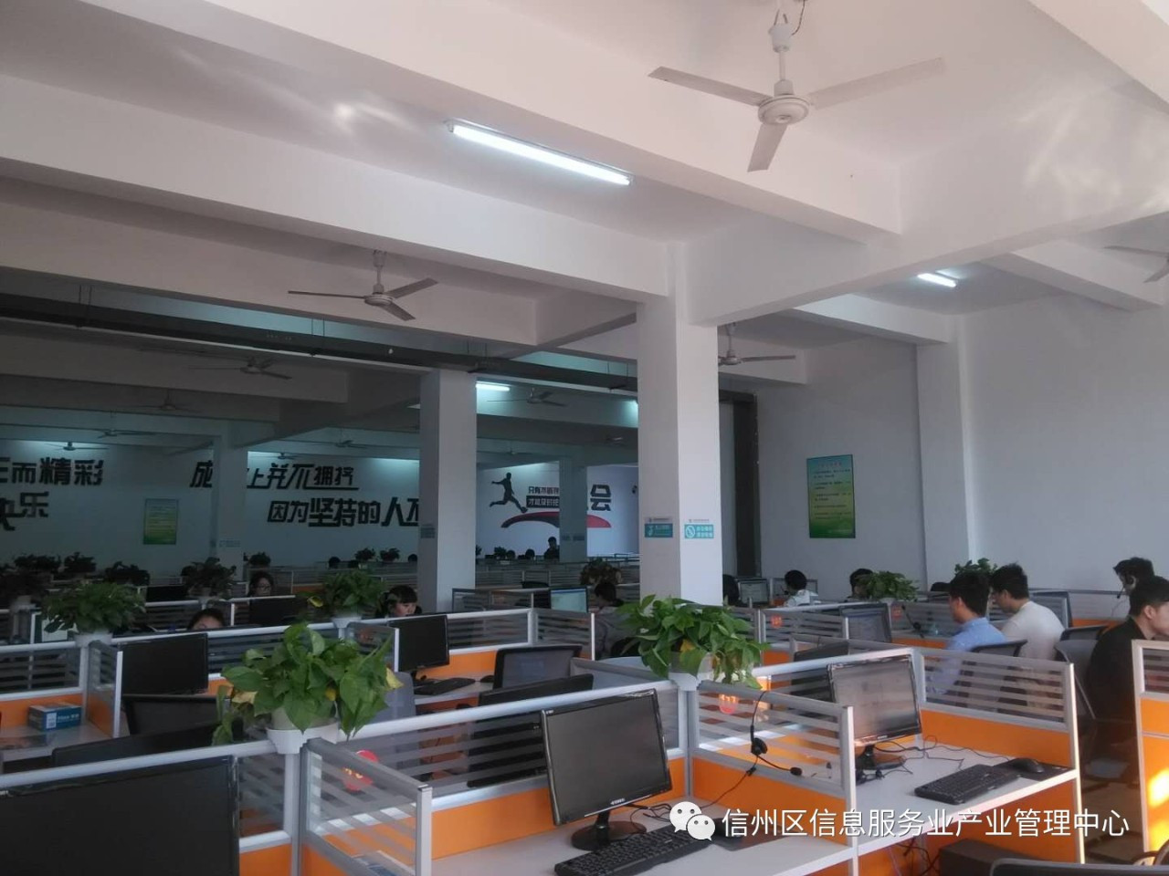 信息服務業產業管理中心 為新入駐企業構筑金融信息咨詢服務新高地